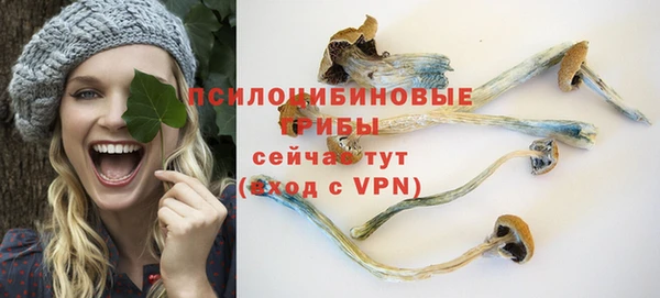 твердый Белоозёрский