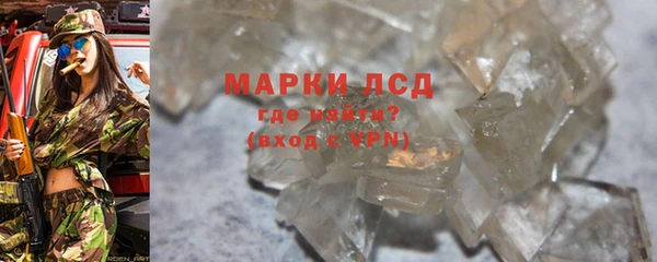 сатива Беломорск