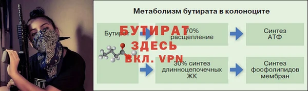 сатива Беломорск