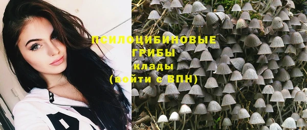 сатива Беломорск