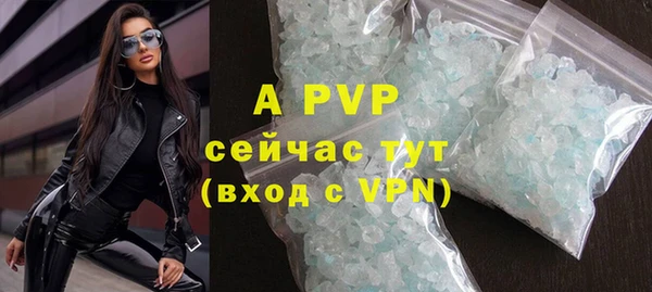сатива Беломорск